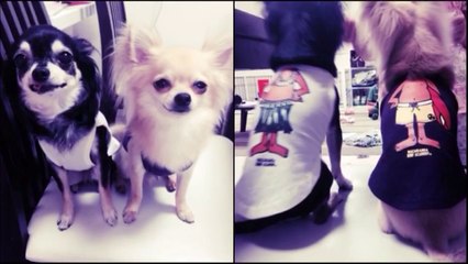 ウルルとサンタ