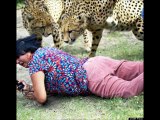Woman Mauled By Cheetahs In South Africa As Husband Photographs Attack