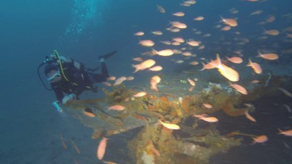Plongée sur le junker 88 - Marseille Le 28/08/2014 - 1/2