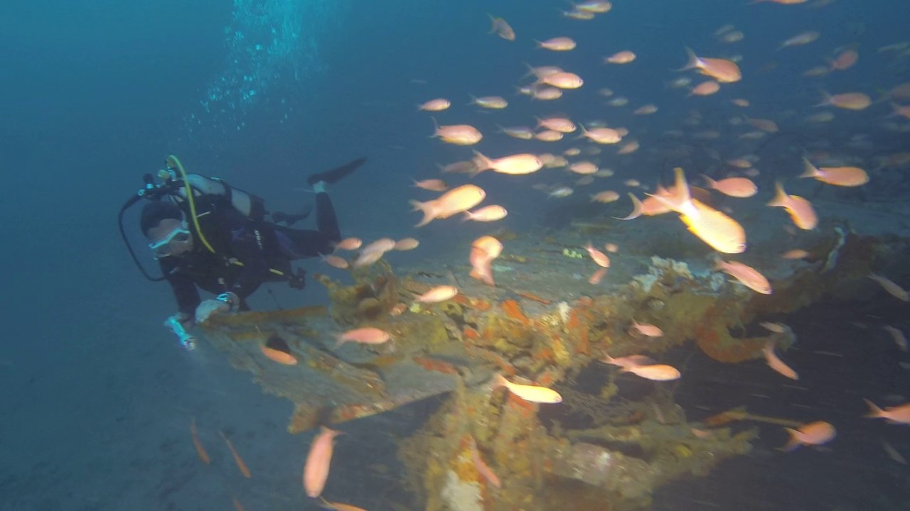 Plongée sur le junker 88 - Marseille Le 28/08/2014 - 1/2