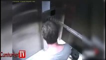 Asansörde çekildi: Milyoner işadamı köpeğini böyle tekmeledi