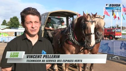 Dans les coulisses des jeux, les chevaux de trait sont à l'oeuvre