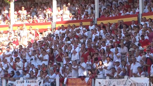 Dax, la Feria 2014 - Best of taurin