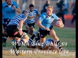 watch Blue Bulls vs Western Province live