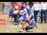 watch Blue Bulls vs Western Province online