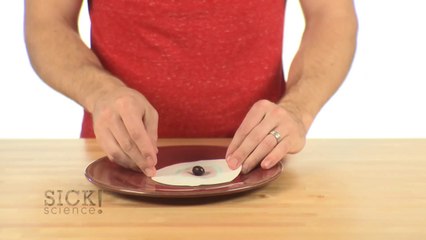 Candy Chromatography - Sick Science! #178