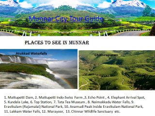 Munnar City Guide
