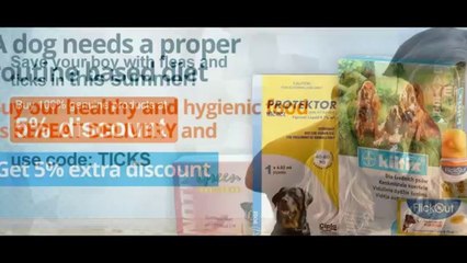 Buy Dog Supplies Online at low Prices in India @ moooou.com