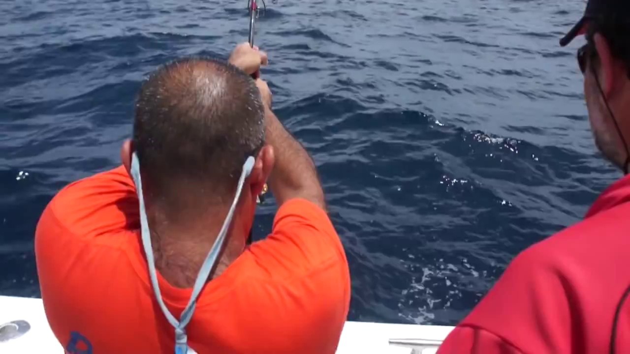 256 LB Big Eye Tuna on OBX 400 Jigging Rod -