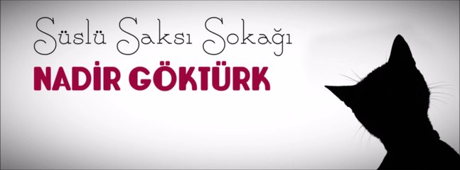 Nadir Göktürk - Güvercin