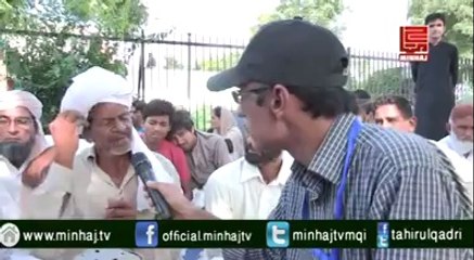 سپریم کورٹ میں بھینسیں