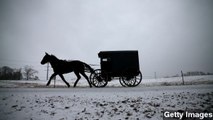 Amish Beard Cutting Not A Hate Crime, Judges Say