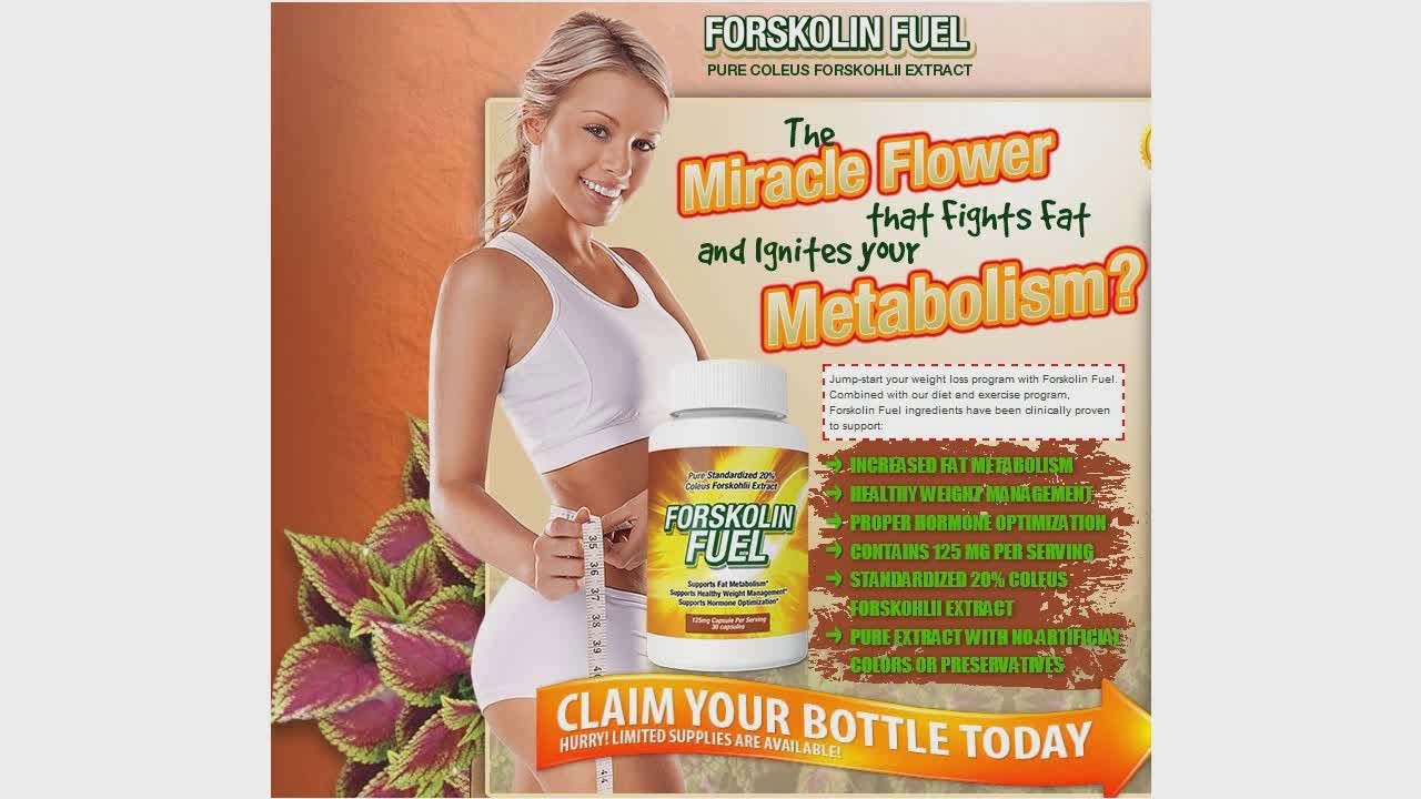 Forskolin Fuel|Forskolin Fuel Review|Coleus Forskohlii|Coleus Forskohlii Review|Miraculous Weight Loss Plant|Loss Weight Fast|Diet Pills|Get In Shape Quickly|Forskolin Fuel Review|Forskolin Side Effects|Forskolin Dr Oz|Forskolin Testosterone|Forskolin Sid