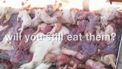 Eating Living Creatures Supports Reptilians