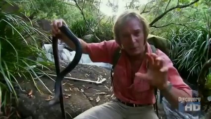 AustinStevensS01E06ValleyOfTheSnakes