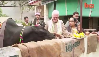 cow urine is the best medicine for every disease