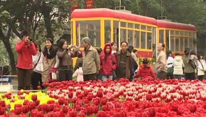 [MV HD] Hà Nội Đêm Trở Gió - Đàm Vĩnh Hưng