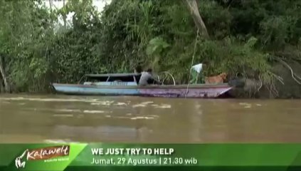 Promo Episode 3 'Kalaweit Wildlife Rescue"