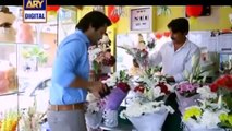 Koi Nahi Apna Episode 10, ARY DIGITAL DRAMA , Full in High Quality ,11th June 2014