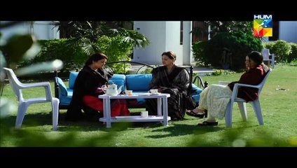 Mohabbat Ab Nahi Hogi Episode 6 Hum TV Drama - YouTube