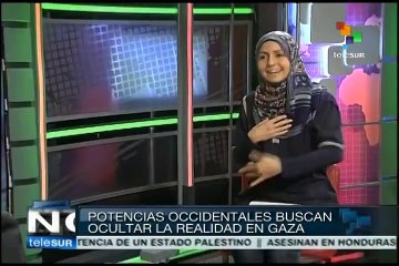 Situación en Palestina concierne a todo el mundo: experta