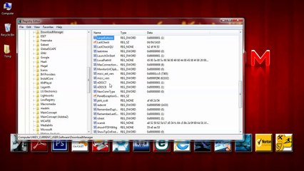 How to stop internet download manager for being update