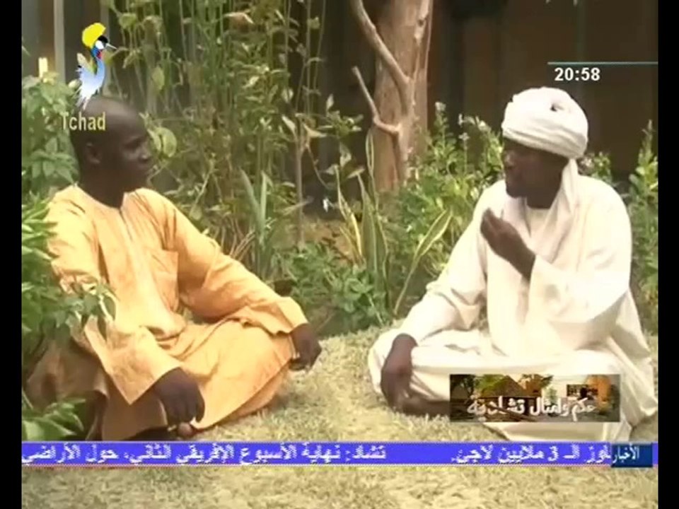 PROVERVERBES ET CITATIONS TCHADIENNES EN LANGUE ETRANGERE - SUR TOL