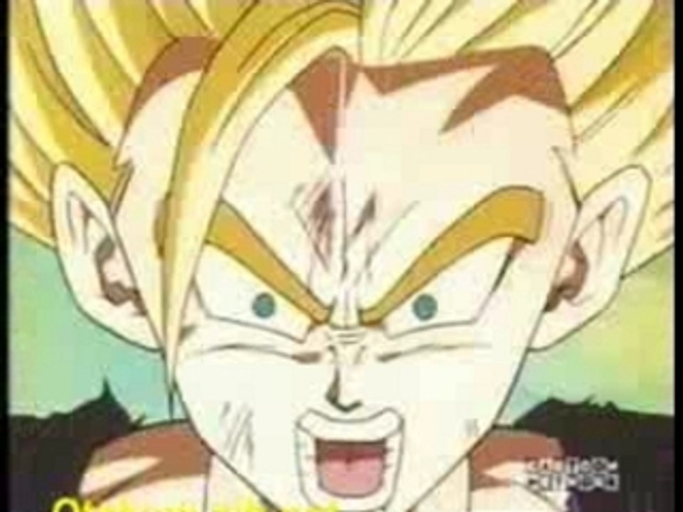 Gohan special