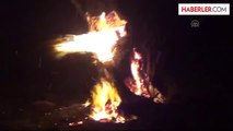 Bandırma'da zeytinlik alanda yangın