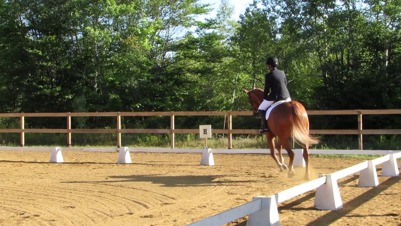 Reprise de dressage.