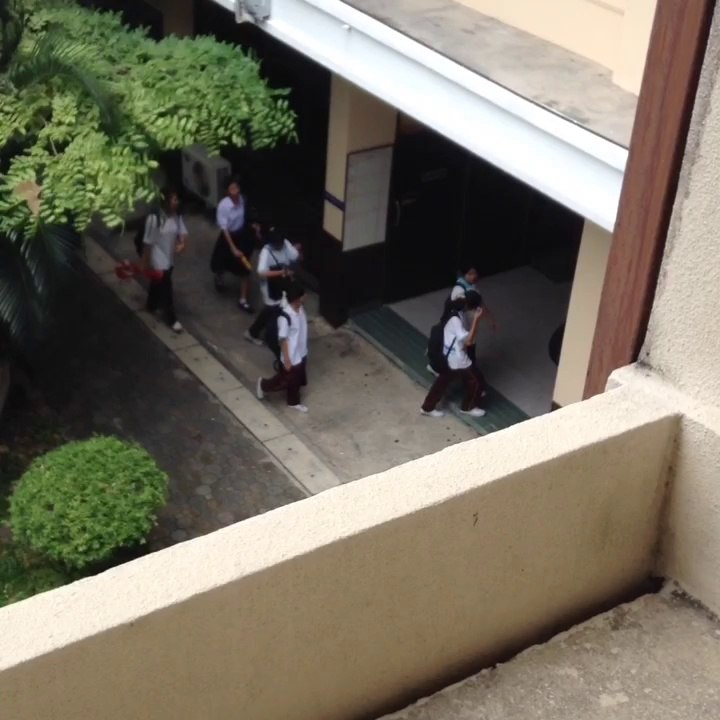 ต่าย