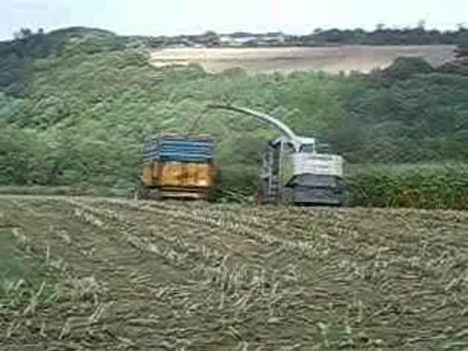 Ensilage 2006, Chantier n°1