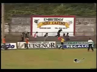 Attaque d'abeilles sur un terrain de football