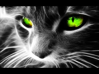 Best Melodic Dubstep 2014 (HQ)