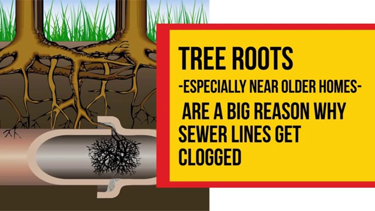 Repairing a Sewer Line Clog