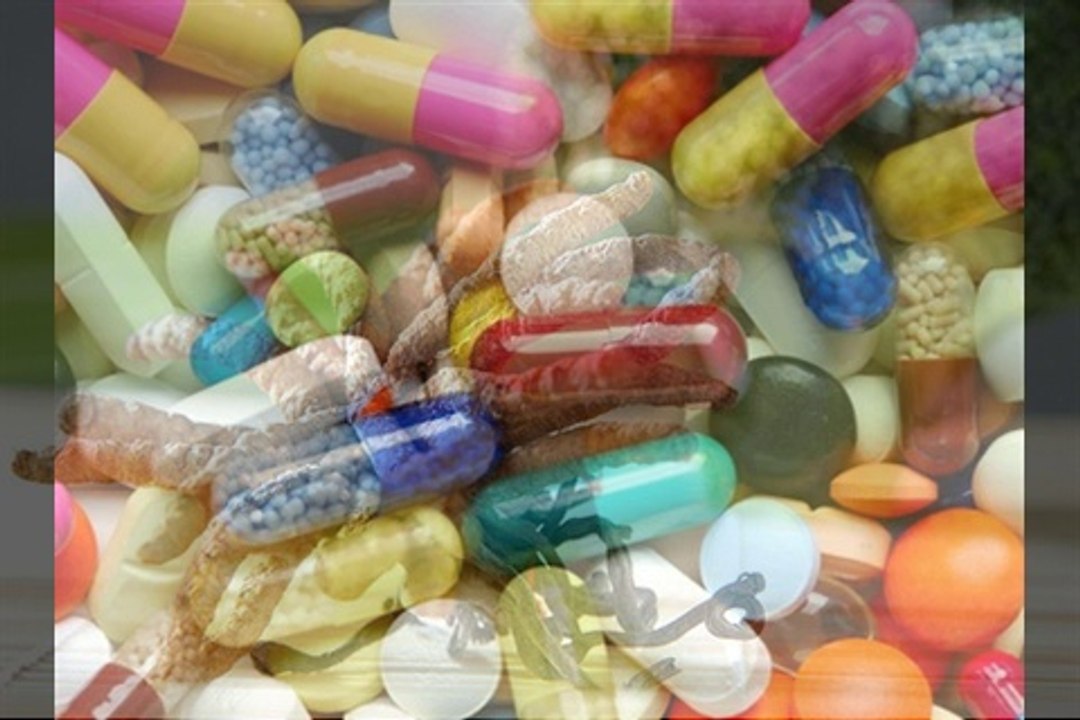 Cordyceps Fungi - Apocalypse Now