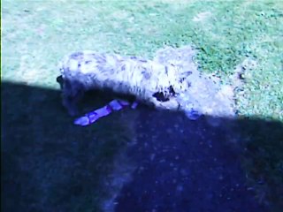 nouvelle bouteille pour Jaudy