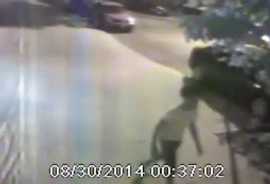 1774-14 77 Pct Att Rape