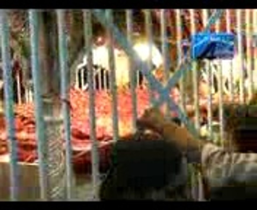 Mela Aya Te Sajj Gaye Ne (By Daniyal )