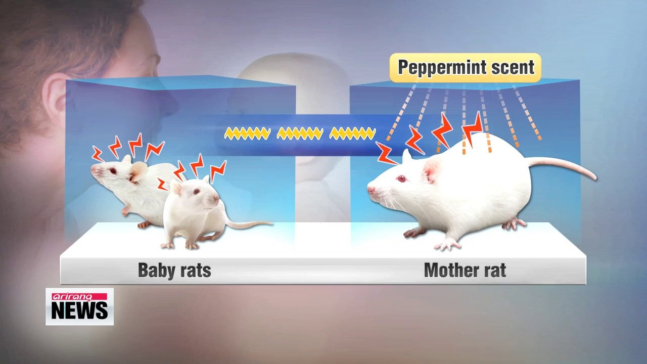Mothers may share fears with babies via odor research