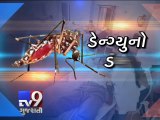 Vadodara sees multifold rise in cases of dengue - Tv9 Gujarati