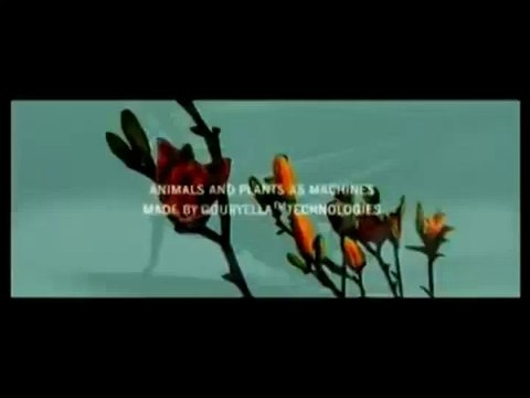 Gouryella - Ligaya (Extended Vocal Version 2003)