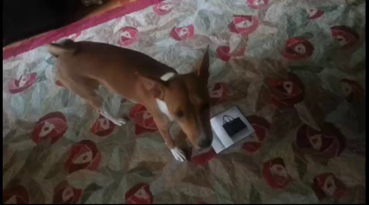 Perfume Flop