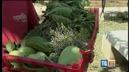 La cucina di Pietro Zito al Matrimonio Indiano di Fasano: il video del Tg3