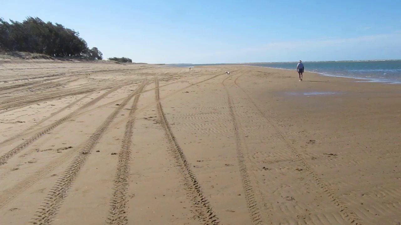 Running Free at the Beach :D