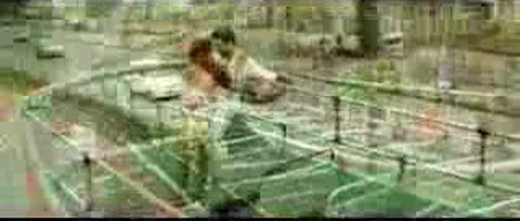 ekmainaurektu_e330_w_2.3gp-