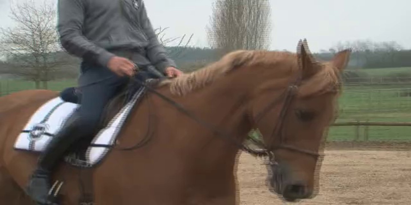CP 295 - Travail sur le plat - Poisson - le reculer