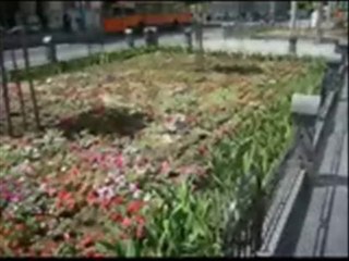 PILOTI - Zaboravi snove (1987)